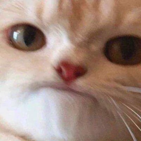 А ой — стикер для MAX