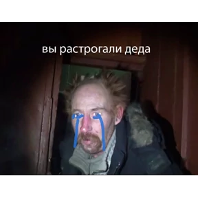 Polli — стикер для MAX