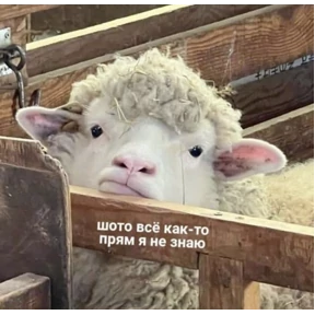 Светкины стики — стикер для MAX