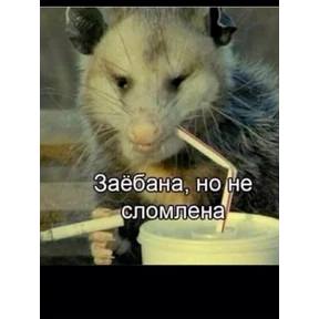 Светкины стики — стикер для MAX