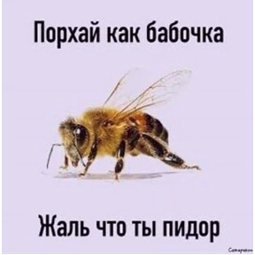 Светкины стики — стикер для MAX