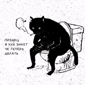 Светкины стики — стикер для MAX