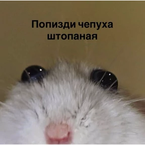 Светкины стики — стикер для MAX