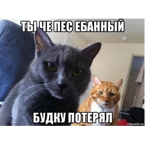 Светкины стики — стикер для MAX