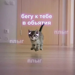 Котяточки — стикер для MAX