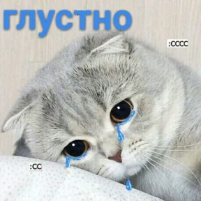 Котяточки — стикер для MAX