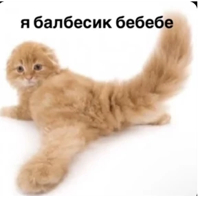 пупипупи — стикер для MAX