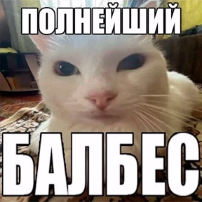 пупипупи — стикер для MAX