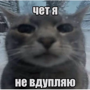 пупипупи — стикер для MAX
