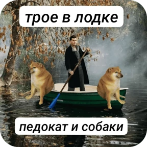 pedokat — стикер для MAX