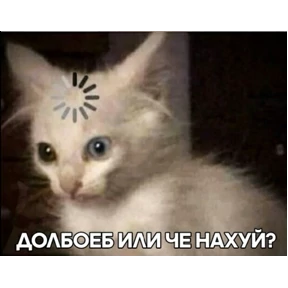 коты2 — стикер для MAX