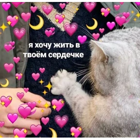 коты2 — стикер для MAX