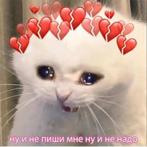 коты2 — стикер для MAX