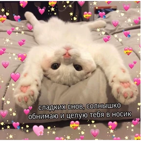 коты2 — стикер для MAX