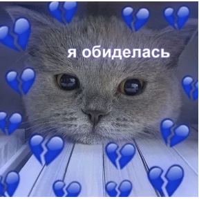 коты2 — стикер для MAX