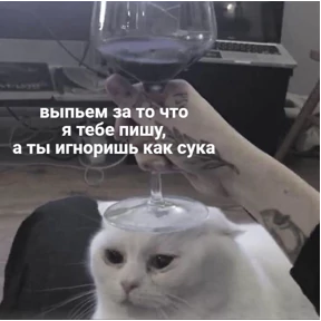 коты2 — стикер для MAX