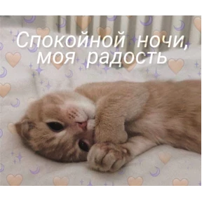 коты2 — стикер для MAX
