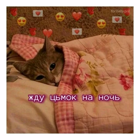 коты2 — стикер для MAX