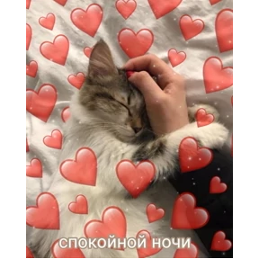 коты2 — стикер для MAX