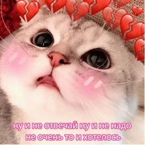 коты2 — стикер для MAX