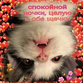 коты2 — стикер для MAX