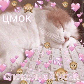 коты2 — стикер для MAX