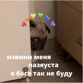 коты2 — стикер для MAX
