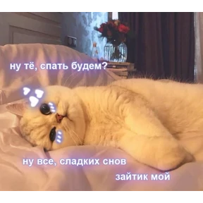коты2 — стикер для MAX