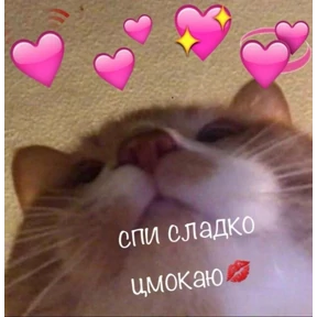 коты2 — стикер для MAX