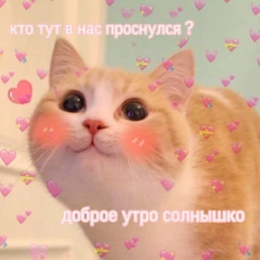 коты2 — стикер для MAX