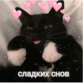 коты2 — стикер для MAX