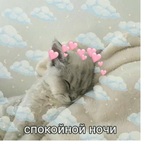 коты2 — стикер для MAX