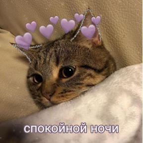 коты2 — стикер для MAX
