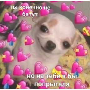 коты2 — стикер для MAX