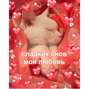 коты2 — стикер для MAX