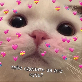 коты2 — стикер для MAX