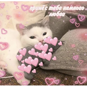 коты2 — стикер для MAX