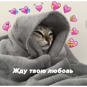 коты2 — стикер для MAX