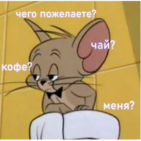 коты2 — стикер для MAX