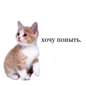 коты2 — стикер для MAX