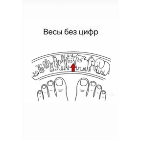 Светкины стики — стикер для MAX