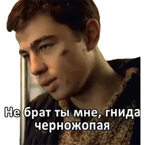 Брат — стикер для MAX