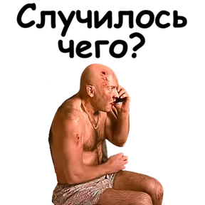 Брат — стикер для MAX