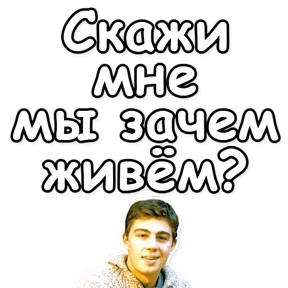 Брат — стикер для MAX