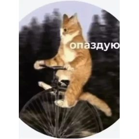 Шабаш — стикер для MAX
