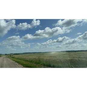 Орехов Лог - Краснозёрское — стикер для MAX