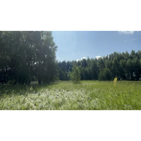 Орехов Лог - Краснозёрское — стикер для MAX