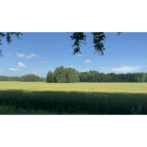 Орехов Лог - Краснозёрское — стикер для MAX