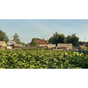 Орехов Лог - Краснозёрское — стикер для MAX