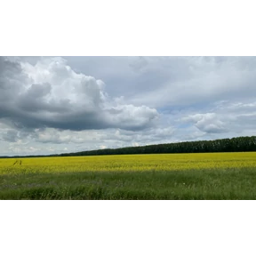 Орехов Лог - Краснозёрское — стикер для MAX